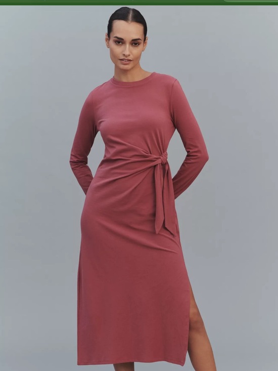 Anthropologie Dresses & Skirts - Anthropologie Dress NWT